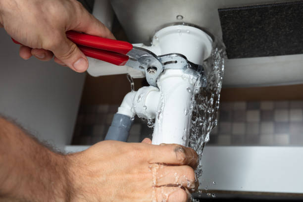 Best Professional water damage repair  in Phoenix, AZ