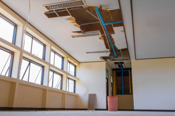 Best Basement water damage restoration  in Phoenix, AZ