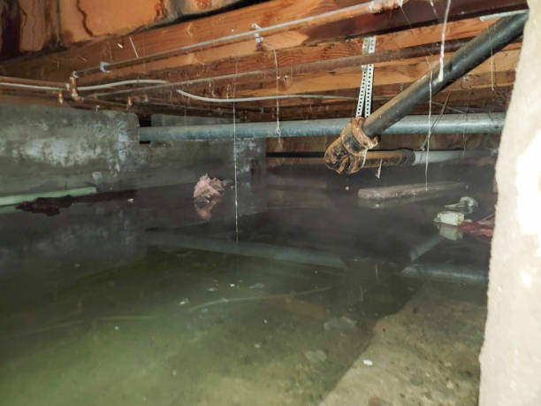 Best Water damage restoration near me  in Phoenix, AZ