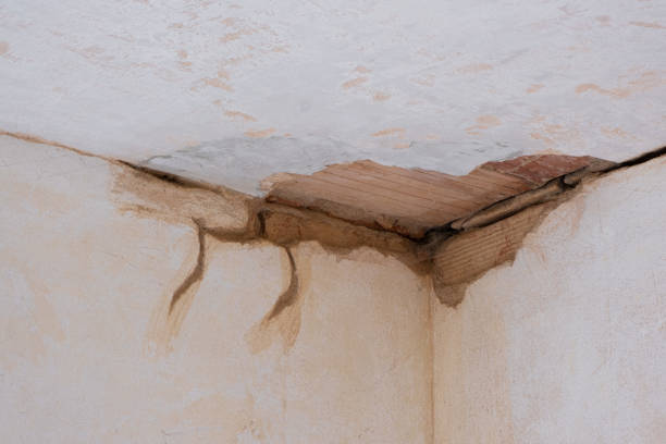 Best Emergency water damage restoration  in Phoenix, AZ