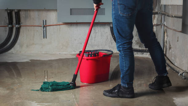 Best Local water damage restoration  in Phoenix, AZ