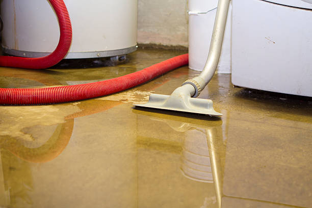 Best Residential water damage restoration  in Phoenix, AZ