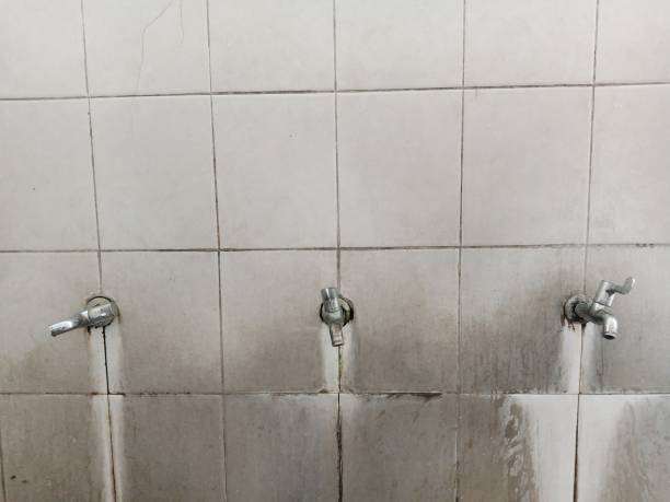 Best Sewage cleanup and water damage restoration  in Phoenix, AZ
