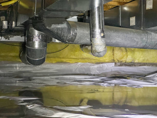 Best Flooded house restoration  in Phoenix, AZ