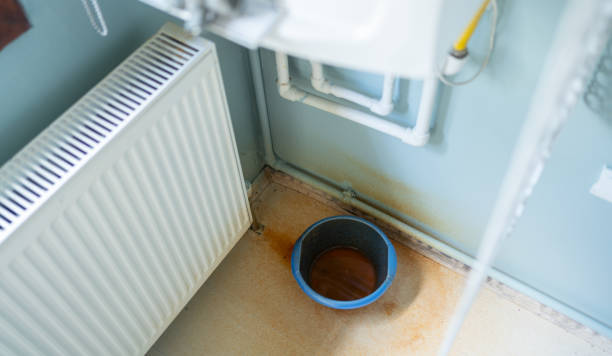 Best Carpet water damage restoration  in Phoenix, AZ