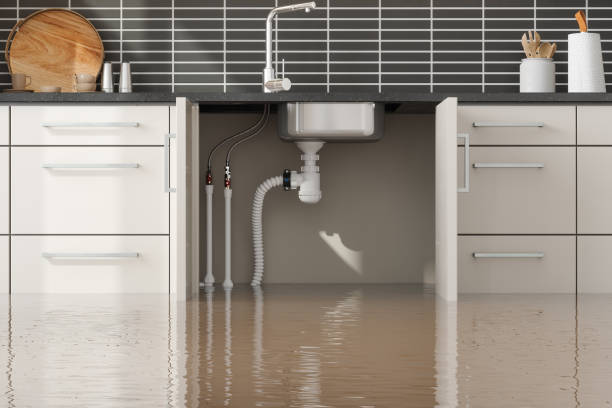 Professional Water damage restoration in Phoenix, AZ