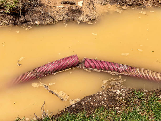  Phoenix, AZ Water damage restoration Pros