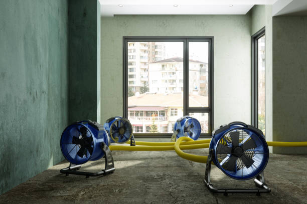 Best Ceiling water damage repair  in Phoenix, AZ